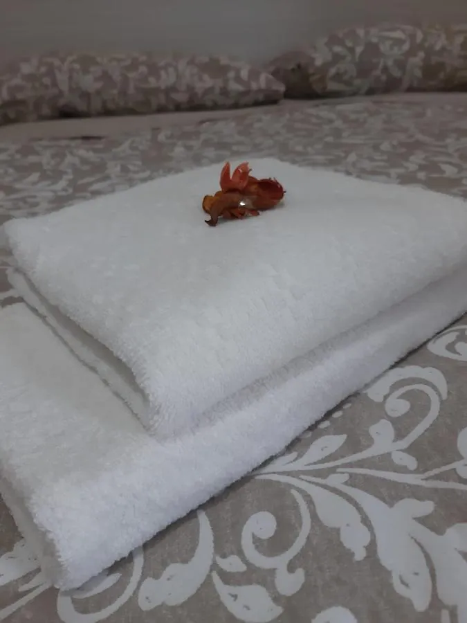 Sleep&Go Airlines Pisa Hotel